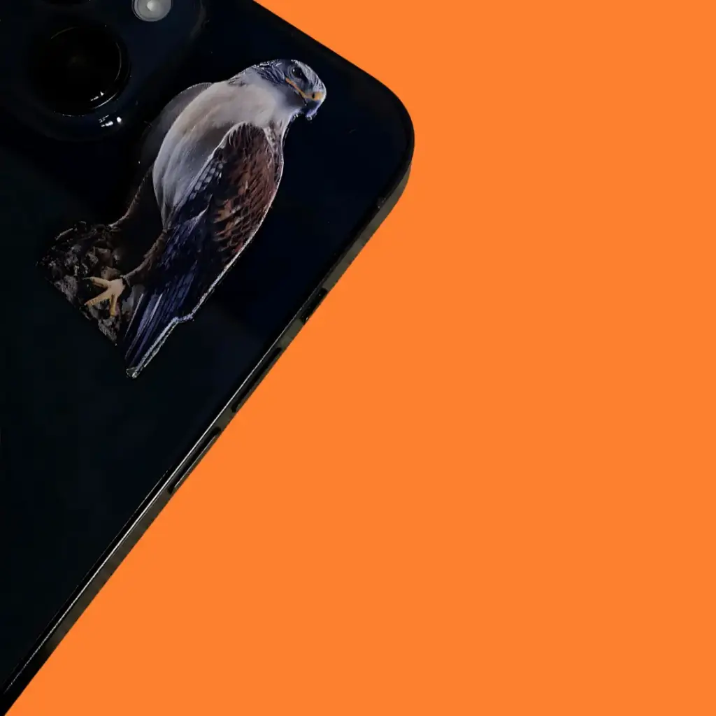 ستيكر معدني صقر